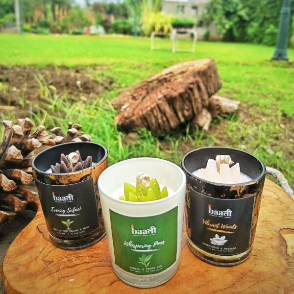 Woodscape ( Set of 3)