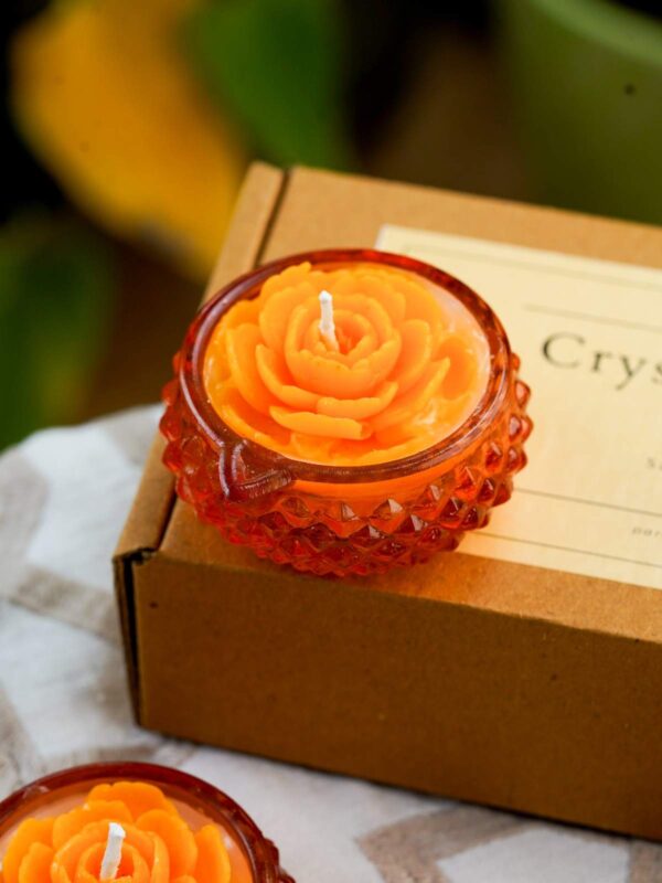 Crystal Diyas - Image 13